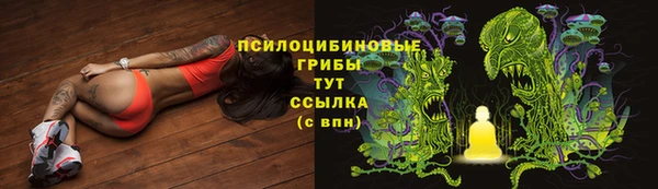 таблы Алексеевка