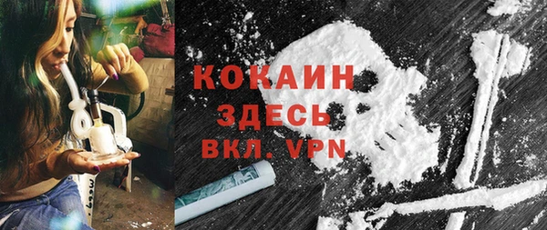 не бодяженный Алексин